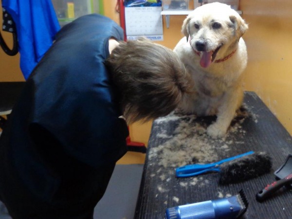 He gets his nails cut.